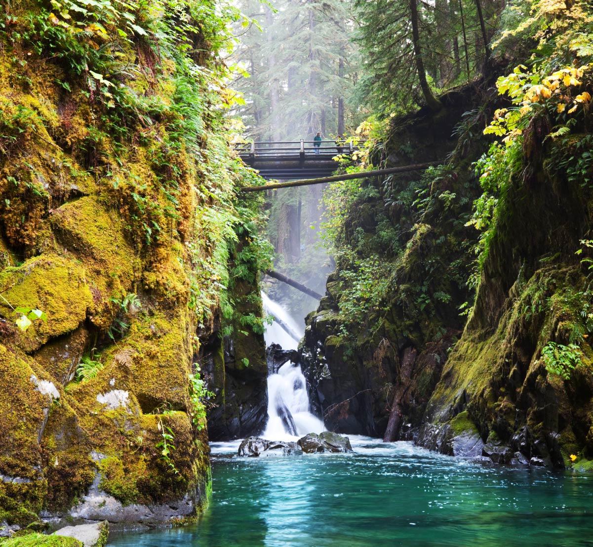 A walking bridge in front of Sol Duc waterfall