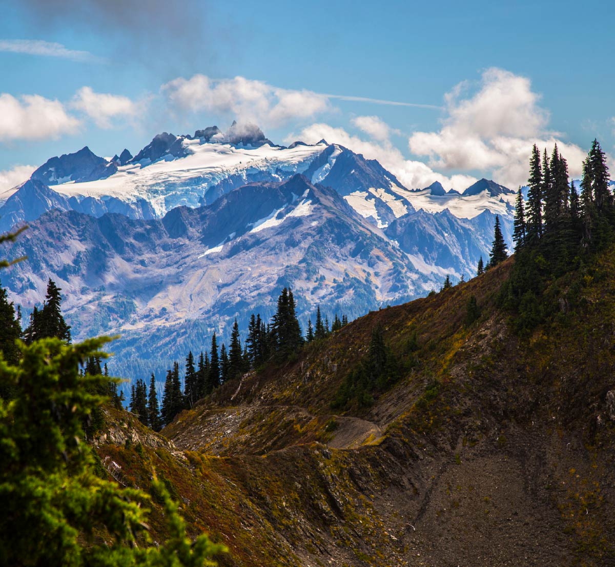 A view of Mount Olympus in Olympic National Park