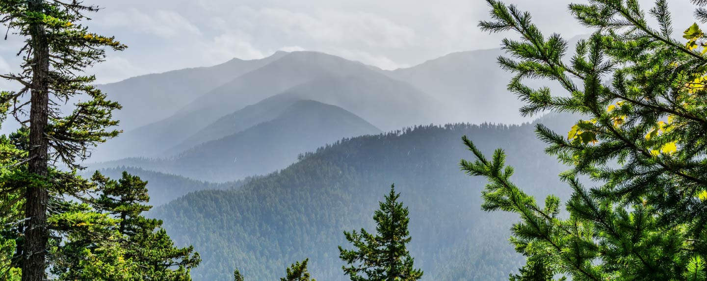 Photo of Hurricane Ridge on a cloudy day