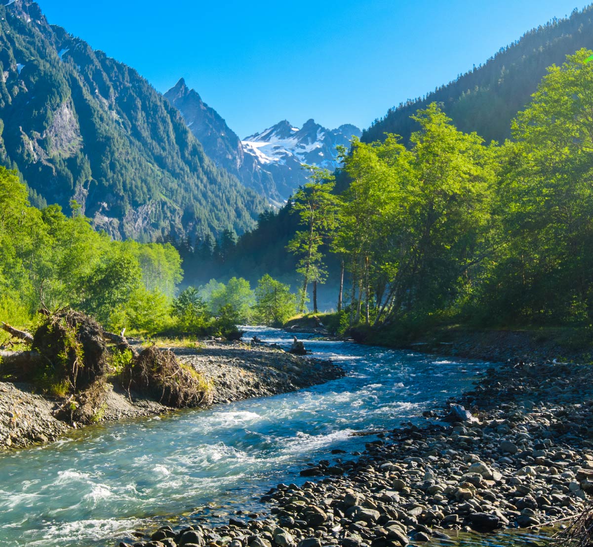 A river running through the Hoh Rainforest in the Olympic Mountains.